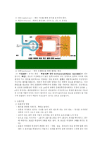 [기본간호학] 맥박 호흡-10