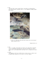 [환경학] 환경호르몬-4