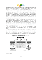 다음(Daum) 경영전략-11