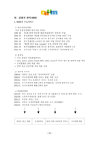 다음(Daum) 경영전략-20