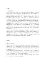 [마케팅] KT의 와이브로 성공전략-2