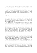 [마케팅] KT의 와이브로 성공전략-3