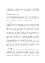 [마케팅] KT의 와이브로 성공전략-4