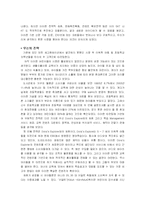 [마케팅] KT의 와이브로 성공전략-5
