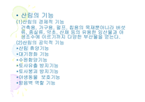 산림보호 레포트-5