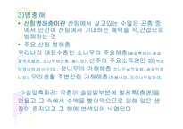 산림보호 레포트-10