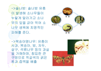 산림보호 레포트-14