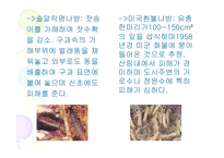 산림보호 레포트-16