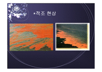 [환경학] 수질오염(해상)-7