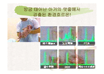 [환경] 유해화학물질-18
