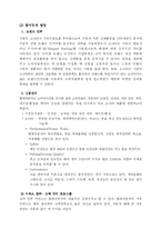 [소비자행동론] 현대자동차 소나타 SONATA 소비자 행동 분석-5