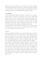 [소비자행동론] 현대자동차 소나타 SONATA 소비자 행동 분석-14
