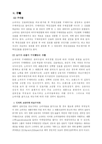 [소비자행동론] 현대자동차 소나타 SONATA 소비자 행동 분석-17