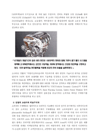 [소비자행동론] 현대자동차 소나타 SONATA 소비자 행동 분석-18