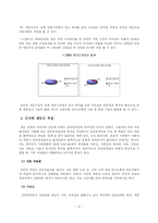 [온라인게임산업] 중국인터넷게임시장의 한류열풍-6