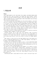 [국제기업환경론] LG-PHILIPS(lg필립스)의 전략적 제휴-3