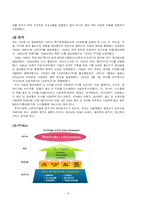 [국제기업환경론] LG-PHILIPS(lg필립스)의 전략적 제휴-4