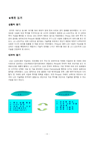 [국제기업환경론] LG-PHILIPS(lg필립스)의 전략적 제휴-9