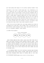 삼성과 소니의 비교연구 -삼성과 소니의 미래가치를 중점으로-12