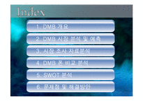 DMB폰 시장조사 분석-2