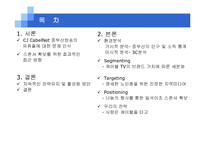 [마케팅관리] 중부산 케이블방송 마케팅-2