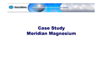 [국제경영] 메리디안 Meridian Magnesium 사례 분석-1