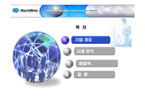 [국제경영] 메리디안 Meridian Magnesium 사례 분석-2