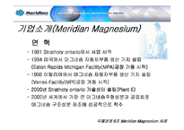 [국제경영] 메리디안 Meridian Magnesium 사례 분석-3