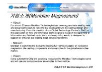 [국제경영] 메리디안 Meridian Magnesium 사례 분석-4
