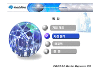 [국제경영] 메리디안 Meridian Magnesium 사례 분석-5