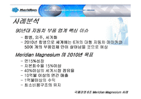 [국제경영] 메리디안 Meridian Magnesium 사례 분석-6