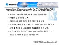 [국제경영] 메리디안 Meridian Magnesium 사례 분석-7