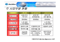 [국제경영] 메리디안 Meridian Magnesium 사례 분석-8