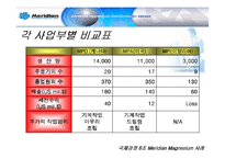 [국제경영] 메리디안 Meridian Magnesium 사례 분석-9