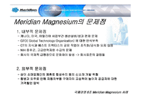 [국제경영] 메리디안 Meridian Magnesium 사례 분석-10