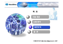 [국제경영] 메리디안 Meridian Magnesium 사례 분석-11