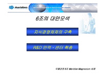 [국제경영] 메리디안 Meridian Magnesium 사례 분석-12