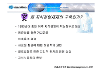 [국제경영] 메리디안 Meridian Magnesium 사례 분석-13