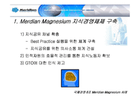 [국제경영] 메리디안 Meridian Magnesium 사례 분석-14