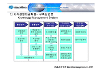 [국제경영] 메리디안 Meridian Magnesium 사례 분석-15