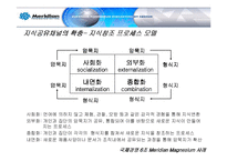 [국제경영] 메리디안 Meridian Magnesium 사례 분석-16