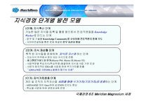 [국제경영] 메리디안 Meridian Magnesium 사례 분석-17