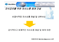 [국제경영] 메리디안 Meridian Magnesium 사례 분석-18