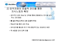[국제경영] 메리디안 Meridian Magnesium 사례 분석-19