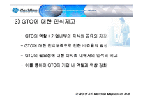 [국제경영] 메리디안 Meridian Magnesium 사례 분석-20
