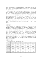 [경영전략] LG-필립스 LCD 사례조사-9