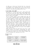 쌈지 마케팅전략-16