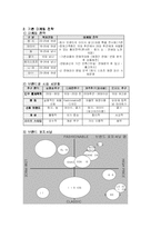 쌈지 마케팅전략-18