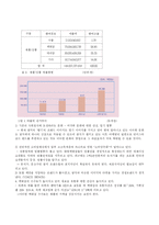 쌈지 ssamzzi 마케팅분석-4