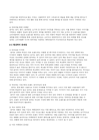 쌈지 ssamzzi 마케팅분석-9